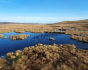 North Pennines peatland with large pool of water. Peat bund across the gully, Blue sky.