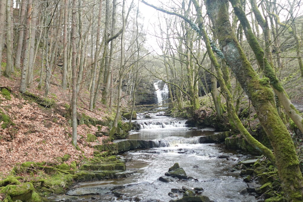 Work experience (Malachi) image