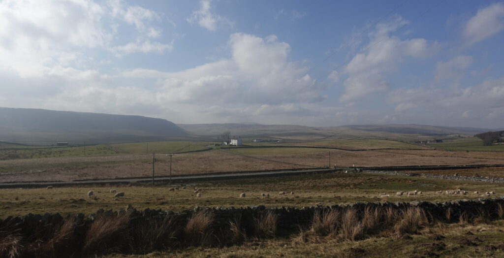 Work Experience (Noah) image