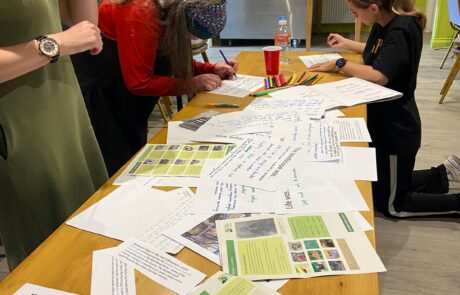 LOLAS 2025 arts_The Knotted Project