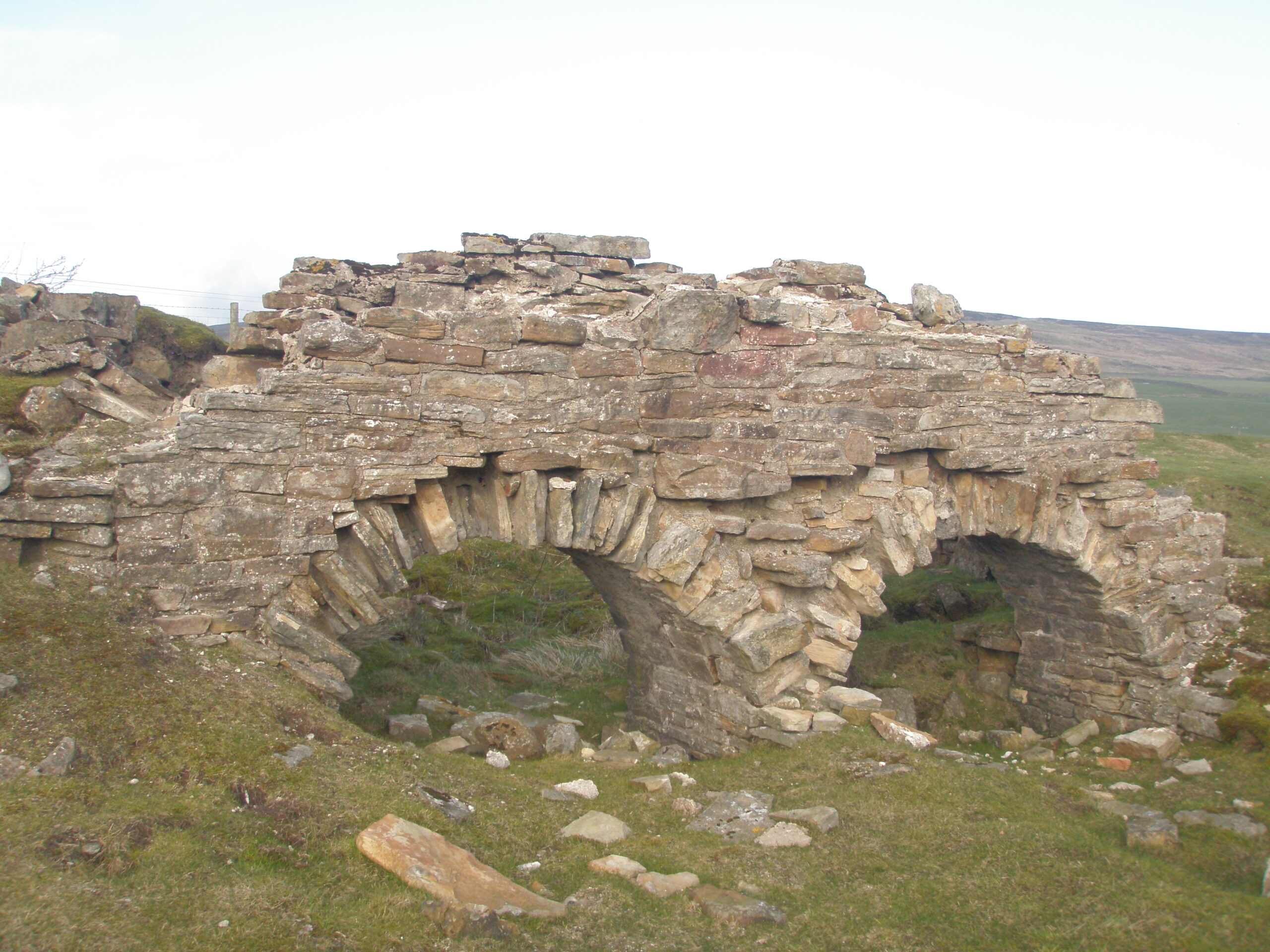 stone arches on grassy vegetation