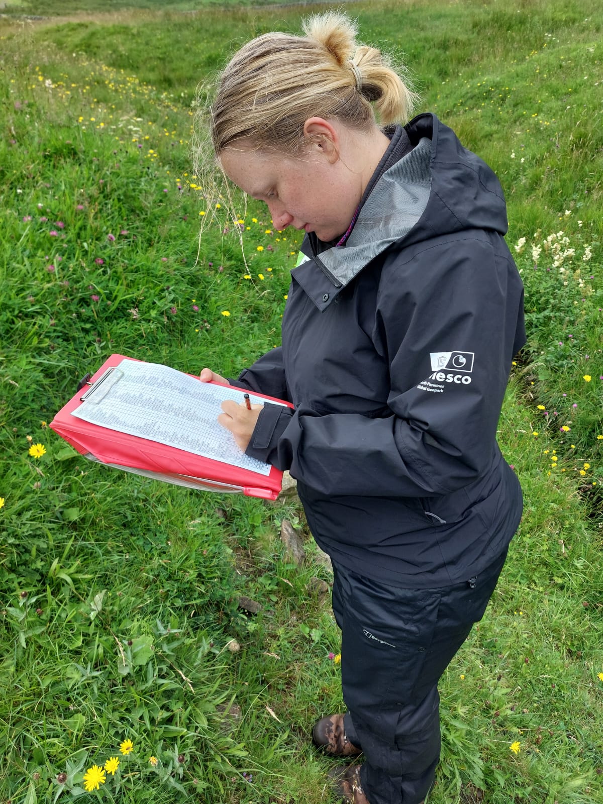 botanical-survey2-jkd