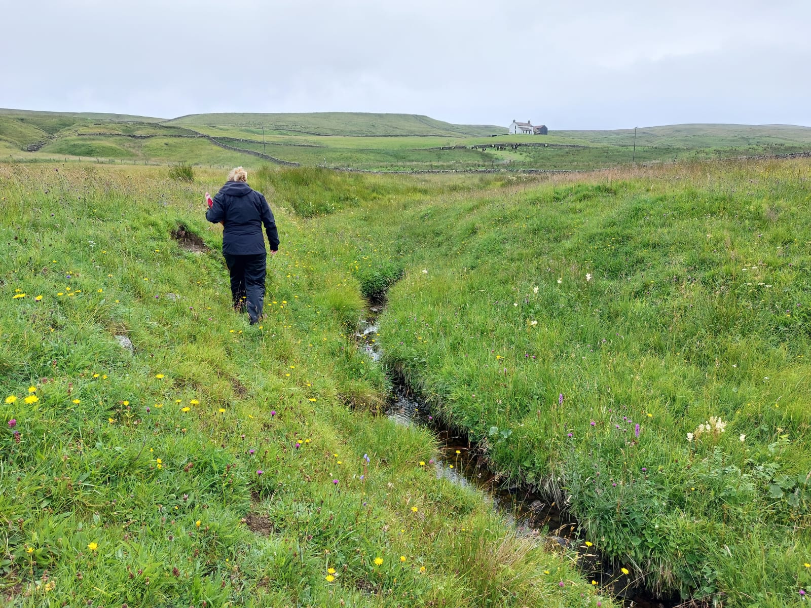 surveying-in-distance-jkd