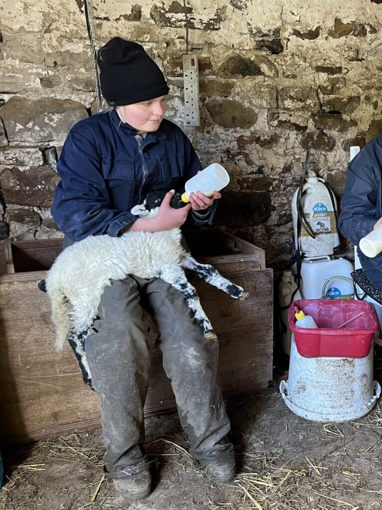 Farming in the Frame - exhibition at Bowlees Visitor Centre image