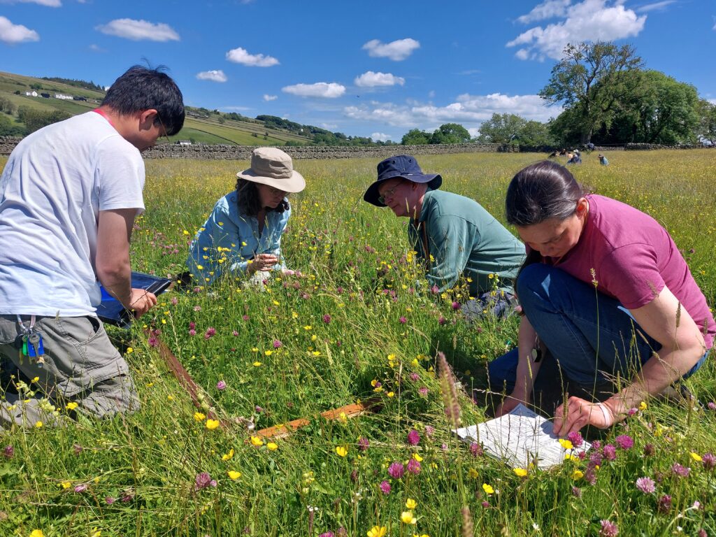 Four people quadrat training