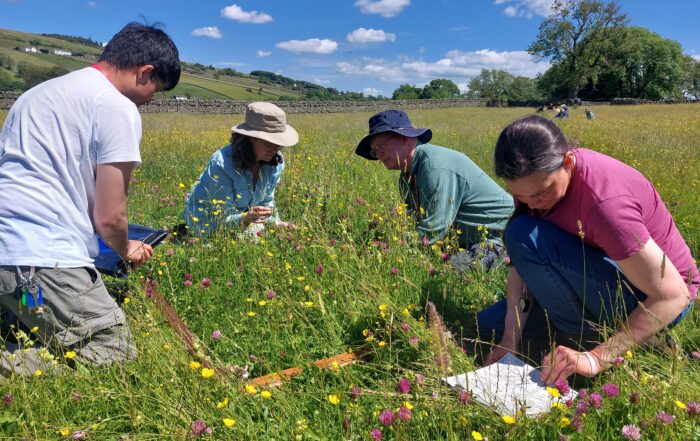 Four people quadrat training
