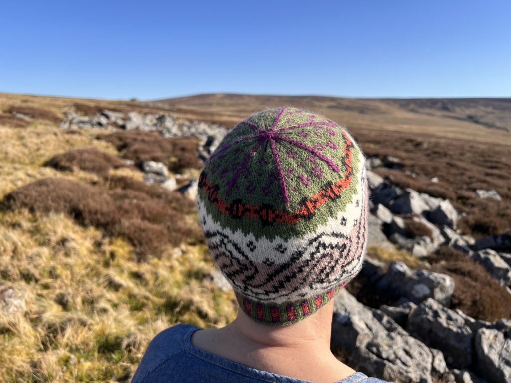 Knitting the serpentine image