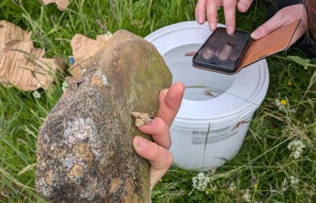 Moth Monitoring app recording