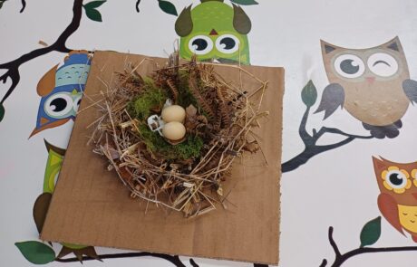 20260217_093317